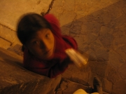 ArBoPeČi2006