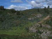 ArBoPeČi2006