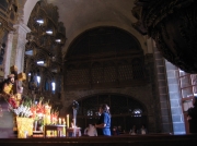ArBoPeČi2006