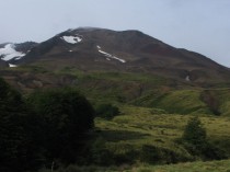 ArBoPeČi2006